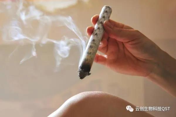 艾灸對(duì)身體有什么好處？常見(jiàn)的艾灸的工具，到底選哪個(gè)好